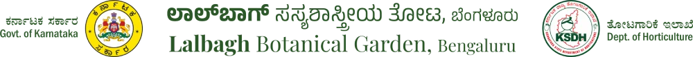 lalbagh-walk-logo